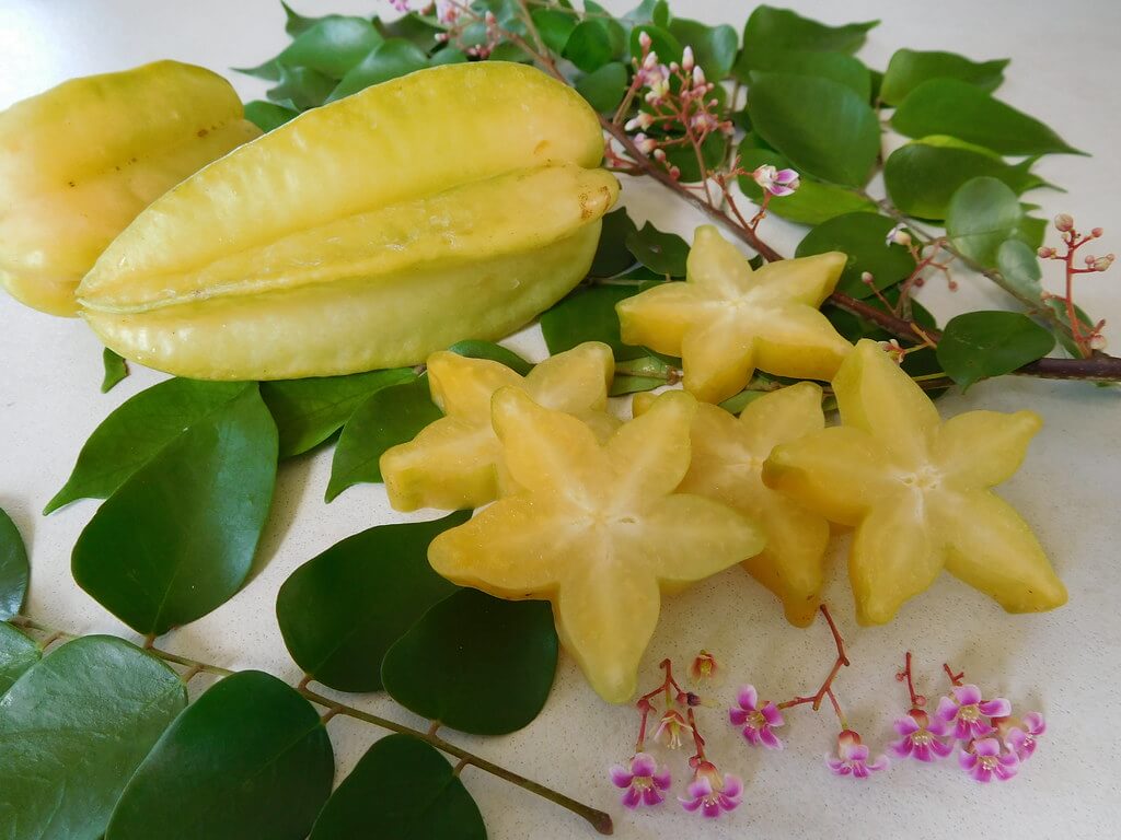 Averrhoa carambola / Karambòl